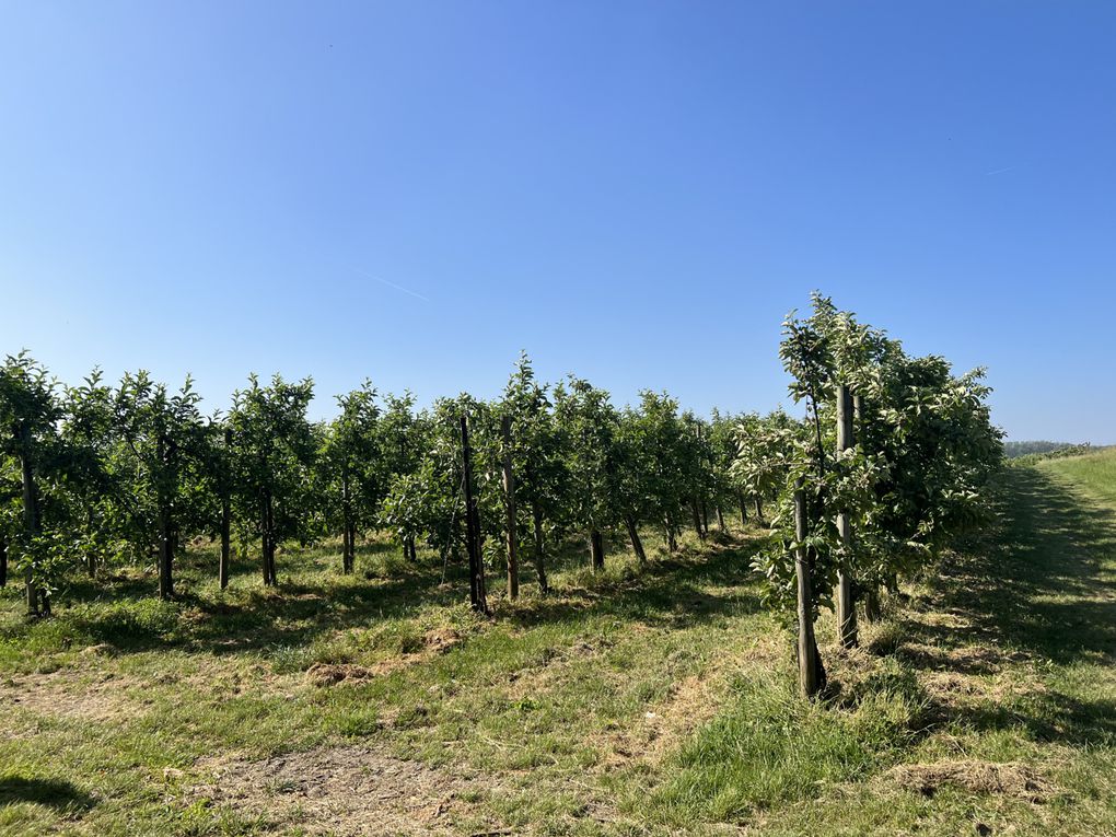 Randonnée de Sarcelles à Saint-Leu-la-Forêt - 16,3 km