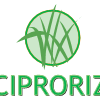 CIPRORIZ (Compagnie Ivoirienne de Production du Riz)