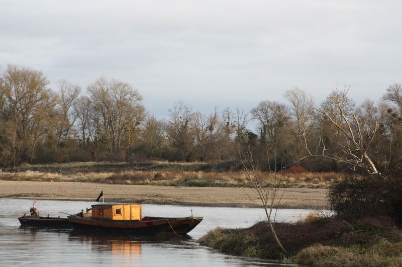 Le 27 décembre 2013, Le Lion d'Or effectuait son premier vrai voyage de remonte sur la rivière Allier