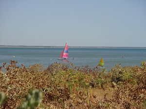 Vendée : Noirmoutier