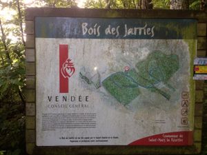 Sortie VTT et marche &quot;découverte du Bois Des Jarries&quot;
