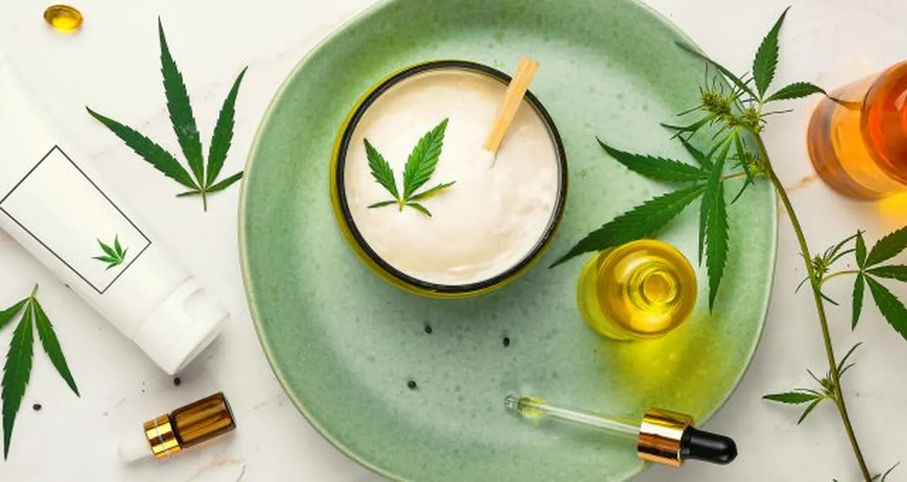 Cannabis, CBD : quels effets thérapeutiques ?