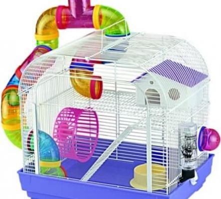 Jeux de hamster en cage