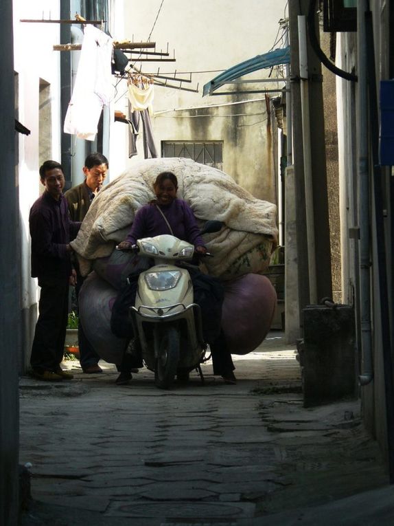 Album - 20111127 - Suzhou