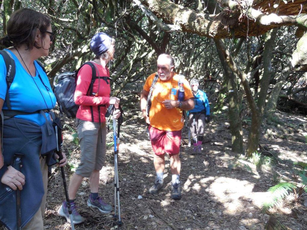 Du gîte du volcan aux Trois citernes