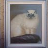 PEINTURE ANIMALIERE A L'HUILE - Chats - Loisirs - Culture