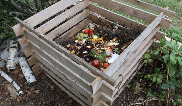 Les bases:le recyclage et le compost