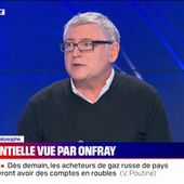 Michel Onfray sur la présidentielle: "Les motivations des électeurs ne relèvent pas de la science politique mais de l'émotion"