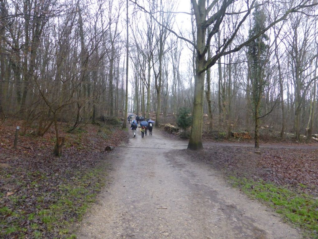 Les Bois de l'Hautil