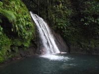 Cascade aux écrevisses