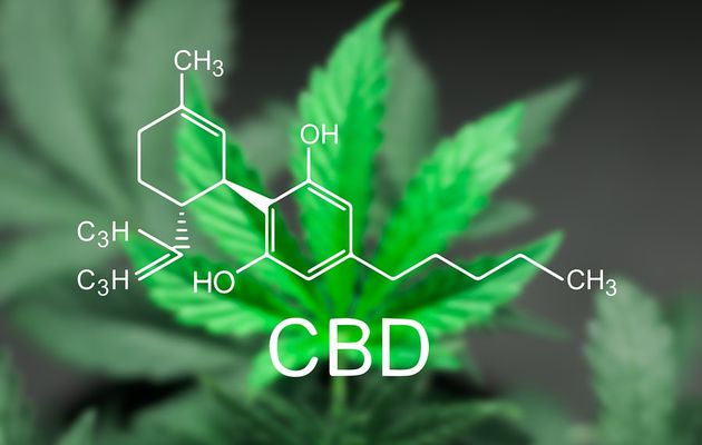 L’ANSM va réguler le marché des e-liquides CBD en France