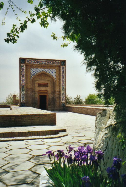 p-mes photos d'ouzbekistan avril 2000
