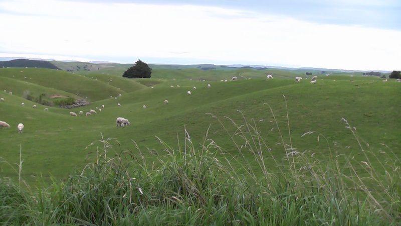 Album - Ile du nord - Fin Octobre (Nz)