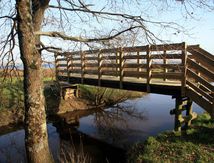 Petit pont de bois....