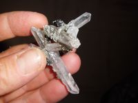 tourmaline sur quartz en chloropyrite