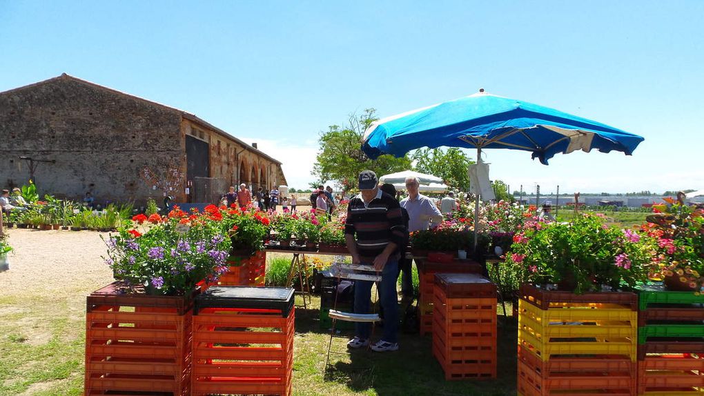 CASTELNAU D'ESTRETEFONDS - REPORTAGE EN IMAGES DU SALON AUTOUR DU JARDIN SUR LE SITE DE L'ESPACE FONDADA