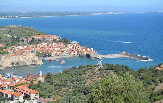 Collioure (66)