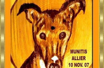 Munitis, Galgo en errance en France depuis 11 mois ...