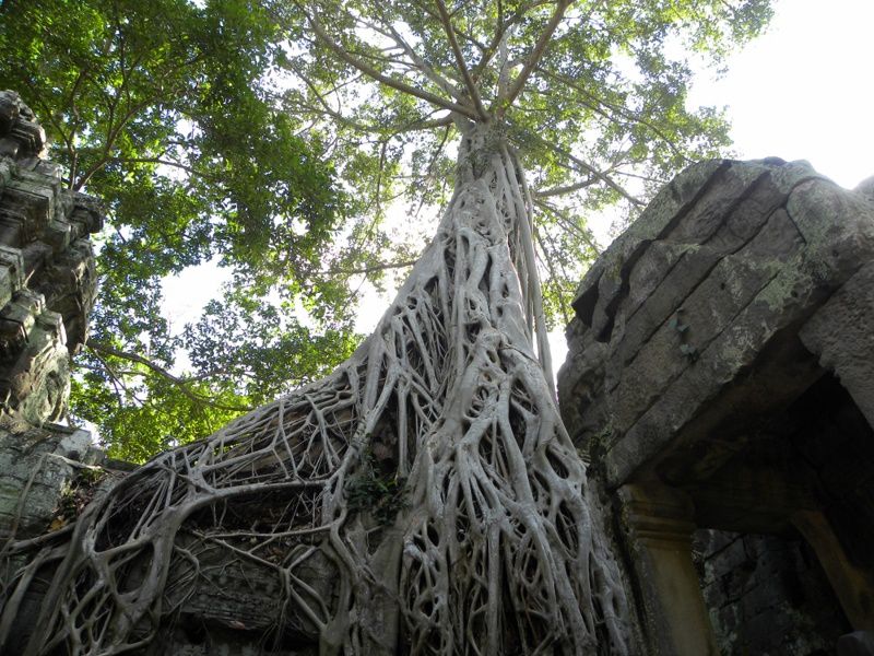 Album - Cambodge