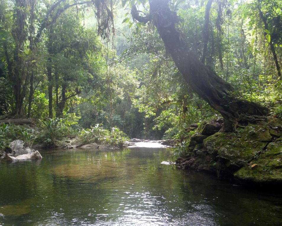 Album - 132--Trek-vers-la-Ciudad-Perdida