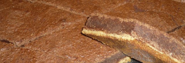 Fondant au chocolat et spéculoos