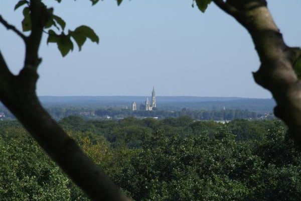 En grimpant dans l'arbre