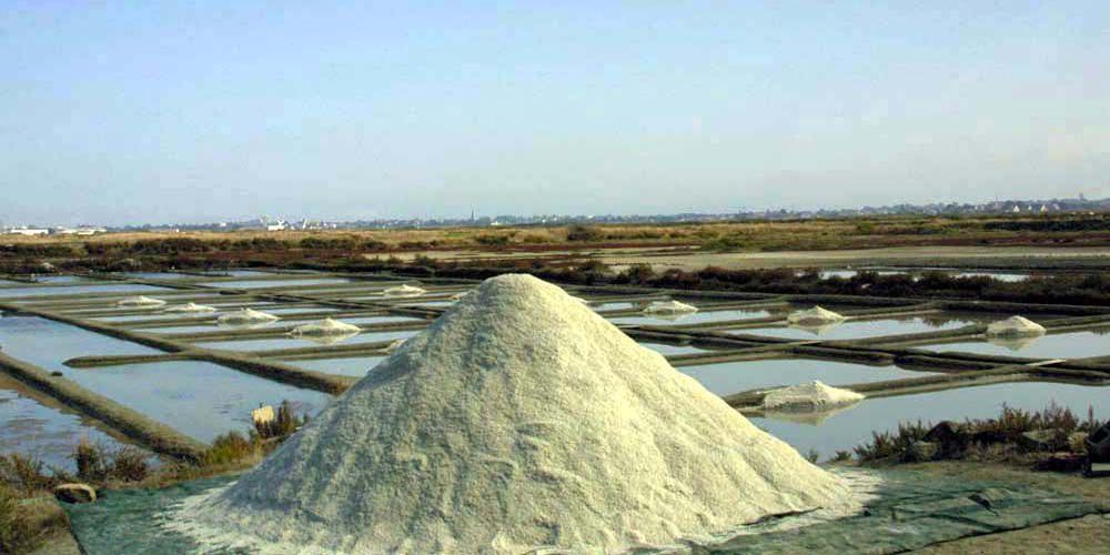 Album - Les Marais-salants de Guerande