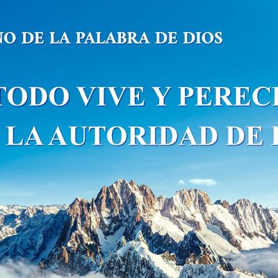 Canción cristiana | Todo vive y perece por la autoridad de Dios