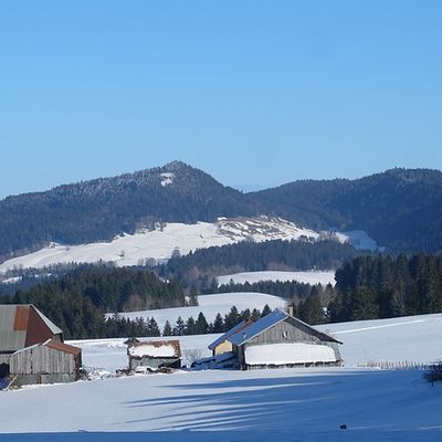 Frontières: "Borne " (...) 