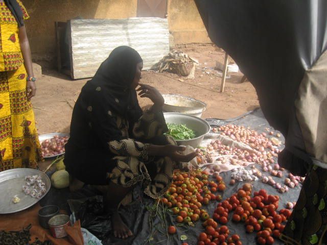 Activités du programme de microcrédits de développement des AGR de la Fondation Wurodini Service (FWS) à Bobo-Dioulasso.