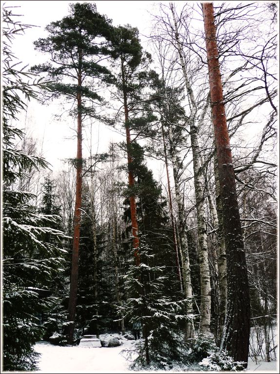 Album - Lac-Suolijarvi