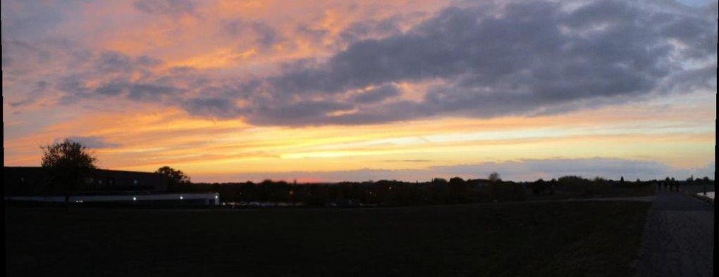 Les grues reviennent le soir sur le lac du Der