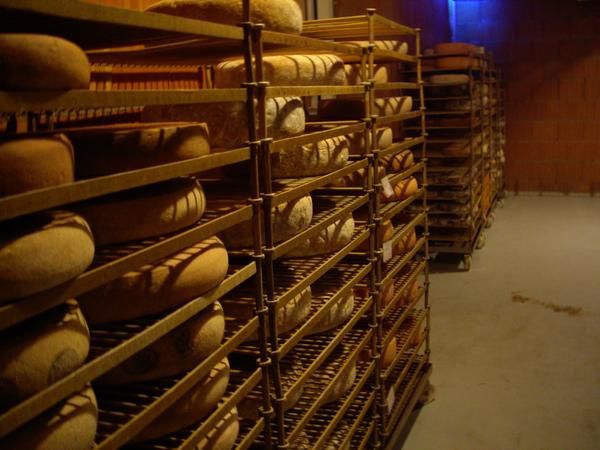 Caves d'affinages de la fromagerie
