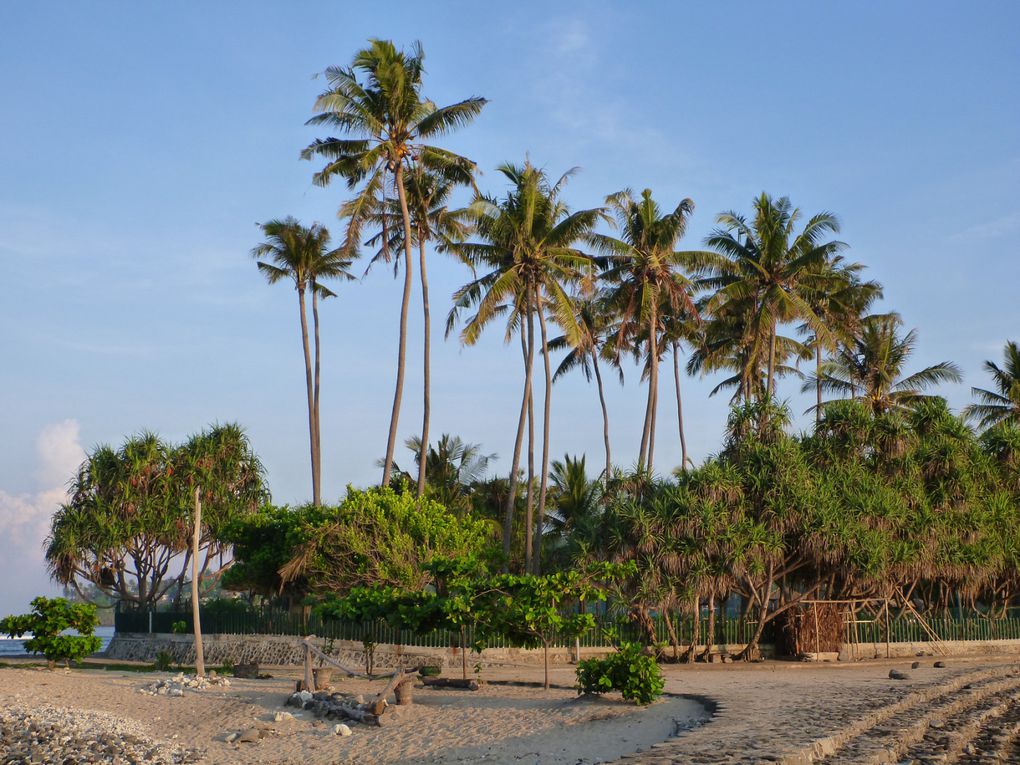 Lombok (Indonésie), décembre 2014