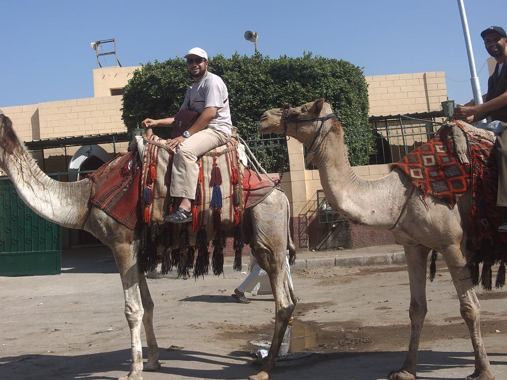 Album - Le-Caire