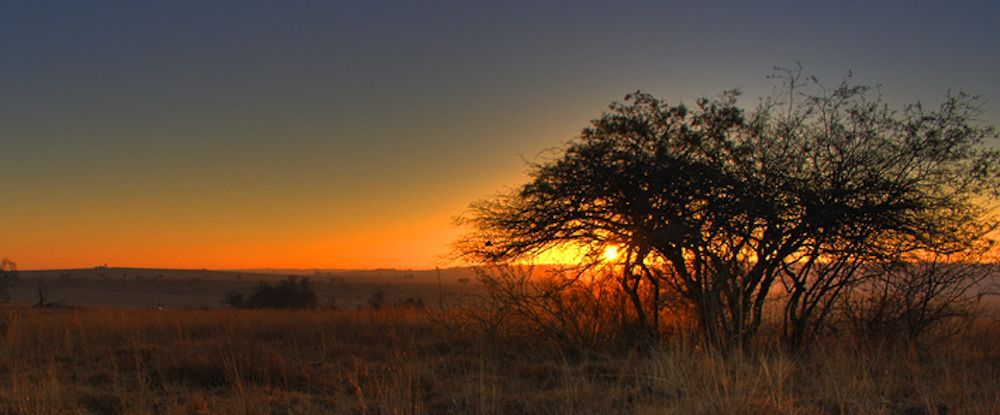 hominidés, homo naledi