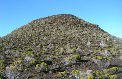 Colline