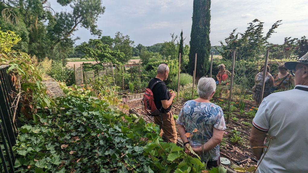 Sorties botaniques et stages cueillettes sauvages en Anjou avec Michaël Jaunet