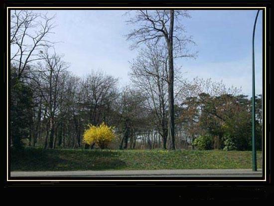 des photos prisent sur les&nbsp; bords de marne &agrave; joinville