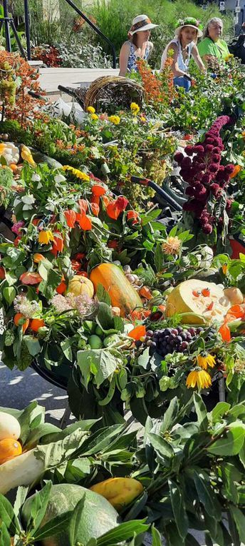 La Fête des Brouettes : Un Rendez-vous Traditionnel à Saluer