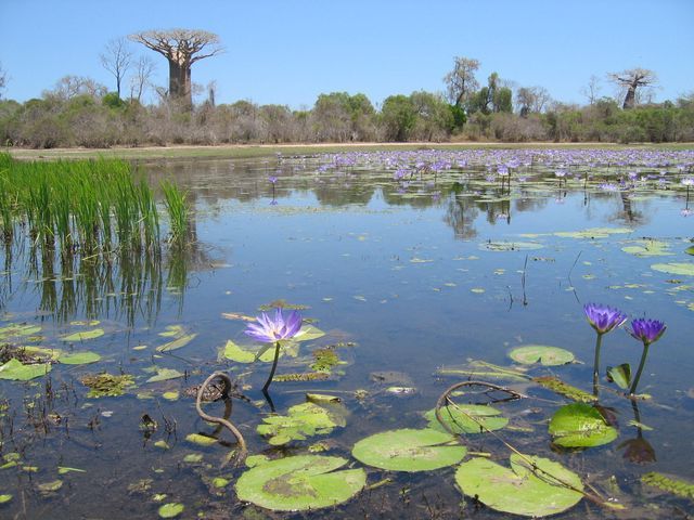 TULEAR MORONDAVA MAINTIRANO MAJUNGA