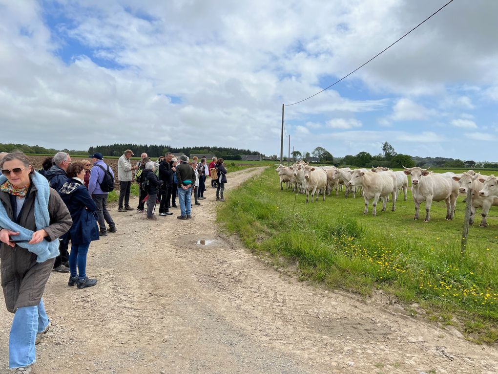 JEUDI 4 MAI - RANDONNÉE à RIEC SUR BELON