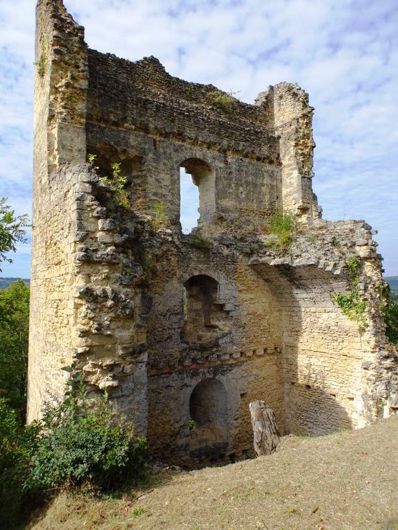 Les ruines du  château de Beauvoir-en-Royans