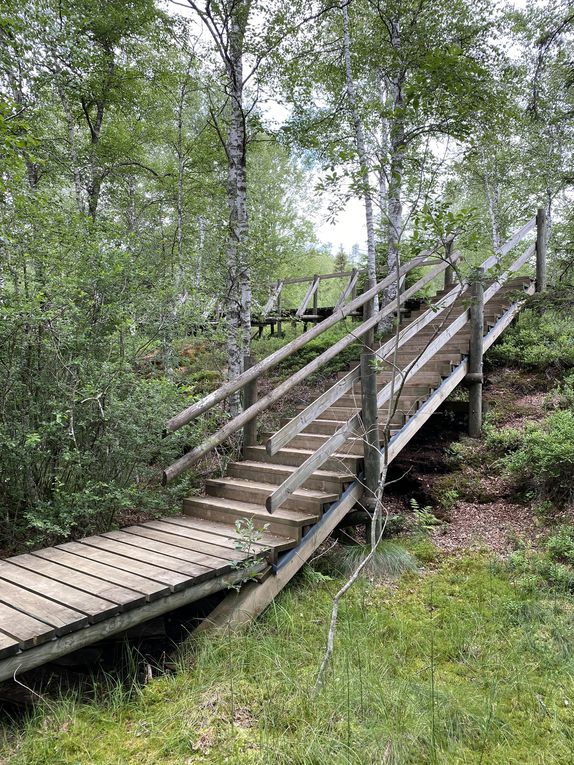 Le chemin des Tourbières, Les Ponts-de-Martel