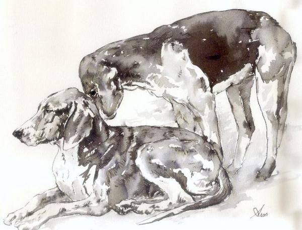 Lavis, aquarelles pastels et crayon aquarellable de chiens de meute