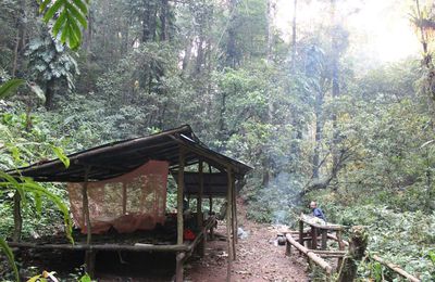 Le nord du Laos : Muang Sing et Luang Namtha