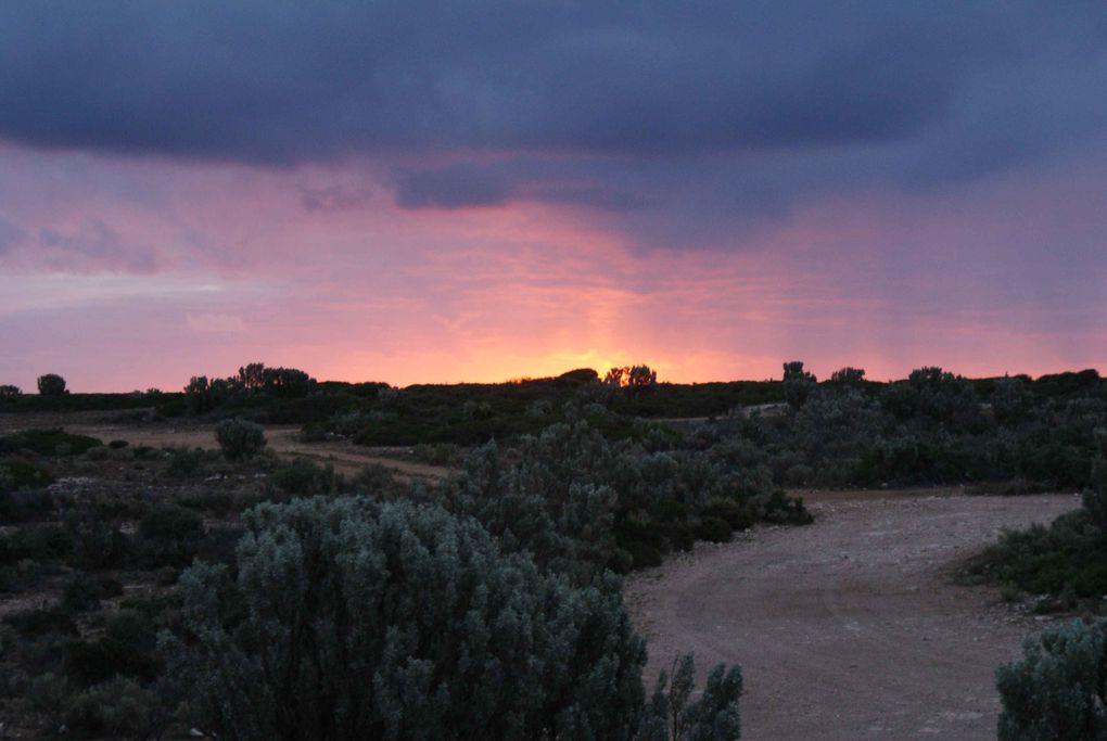 Album - Western-Australia