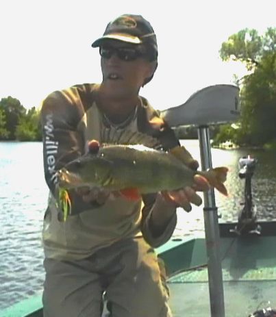 Quelques belles perches, mais manque de gros poisson par manque de protection... Pas de photo de notre record (49cm).