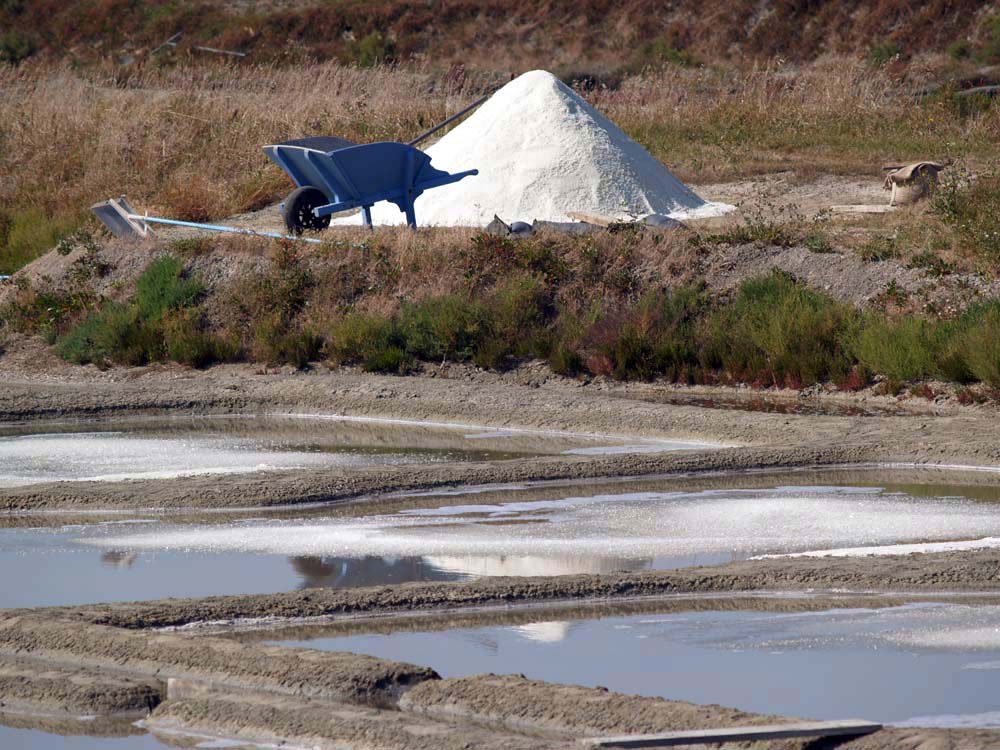 Album - Les Marais-salants de Guerande