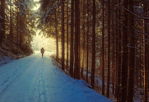 Pour le plaisir des yeux : quelques photos d'hiver.